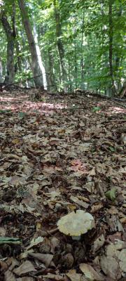 Прикрепленное изображение: IMG_20230718_104532.jpg